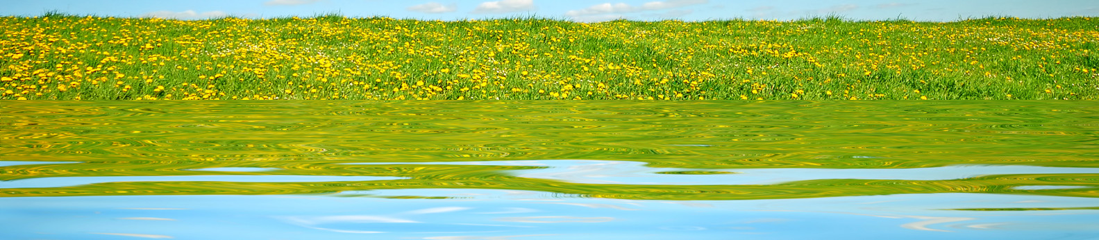 Right Solution Water and Environmental Treatment